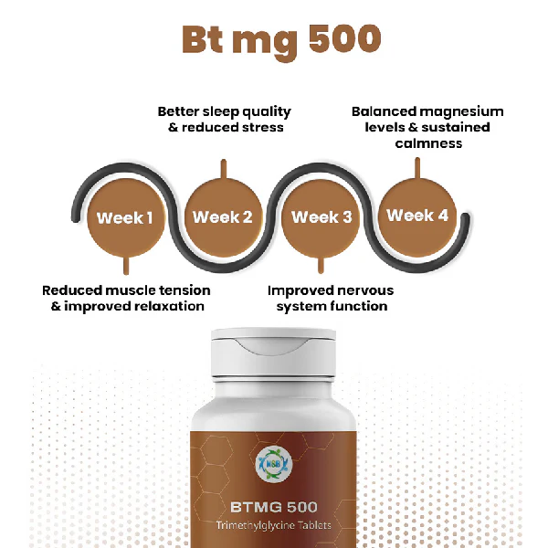 BTMG 500