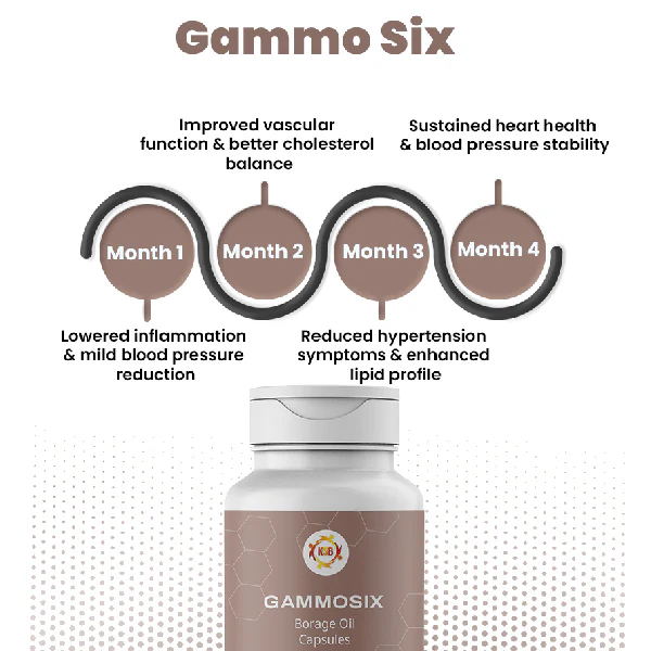 Gammo Six