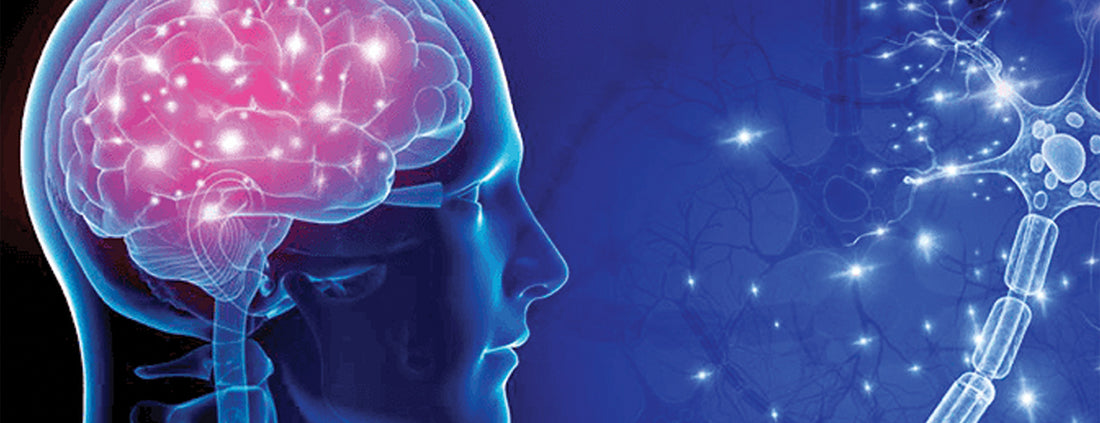 ADHD TREATMENT IN DUBAI