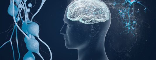 CONSULT EXPERT NEUROLOGIST Dr Sweta Adatia FOR TREATMENT OF AUTISM IN DUBAI