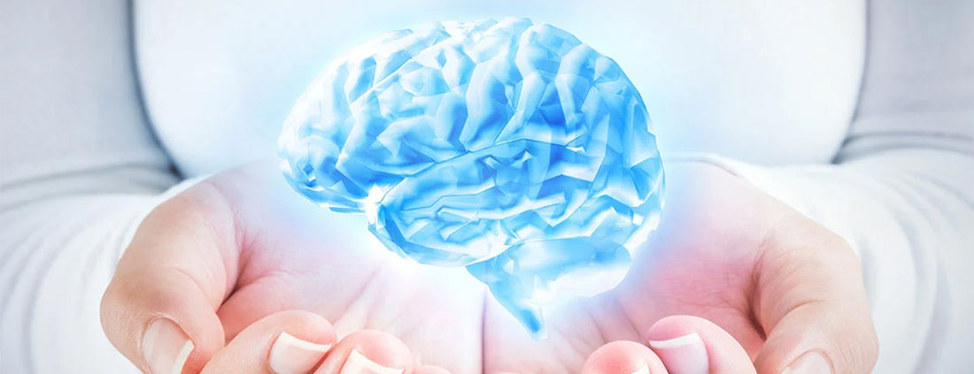 Nerve Conduction Study In Dubai