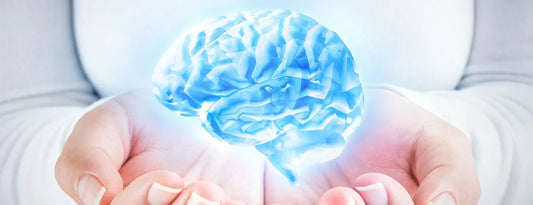 Nerve Conduction Study In Dubai