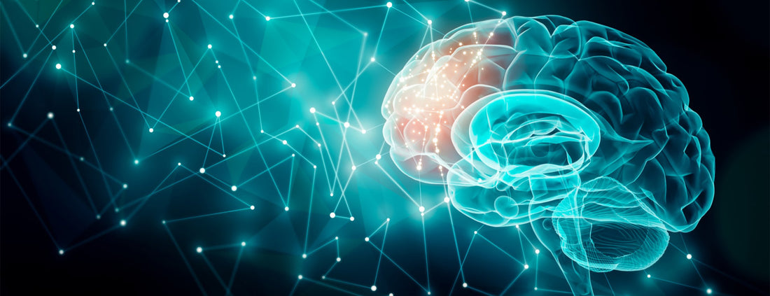 LATEST ADVANCE IN TREATMENT OF PARKINSON’S DISEASE DUBAI