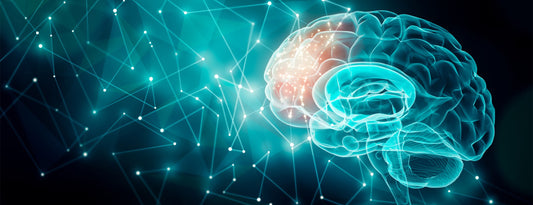 LATEST ADVANCE IN TREATMENT OF PARKINSON’S DISEASE DUBAI