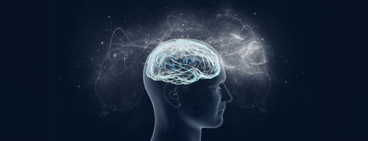 GET EFFECTIVE SEIZURE TREATMENT IN DUBAI