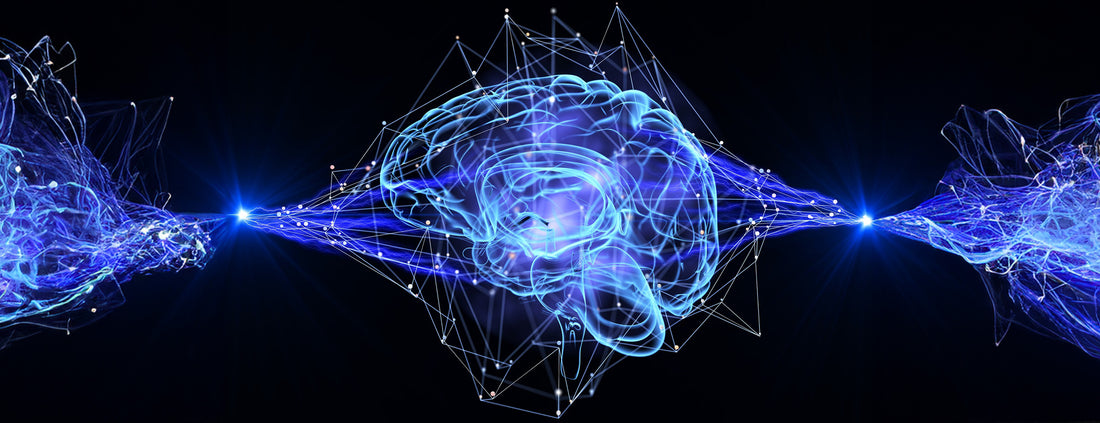 NEUROPHYSIOLOGY DIAGNOSTICS FOR PATIENTS IN DUBAI