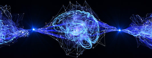 NEUROPHYSIOLOGY DIAGNOSTICS FOR PATIENTS IN DUBAI