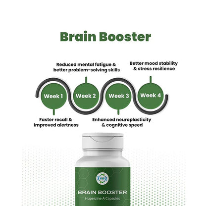 Brain Booster