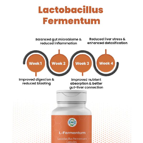 Lactobacillus Ferm