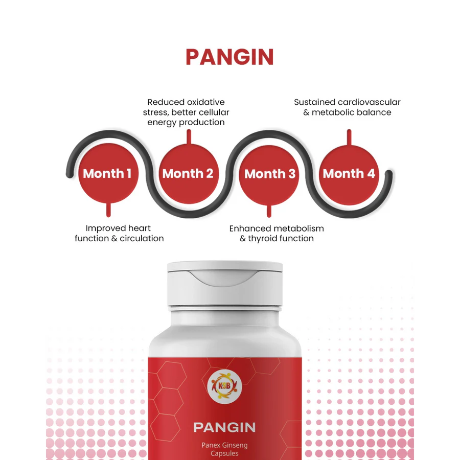 Pangin