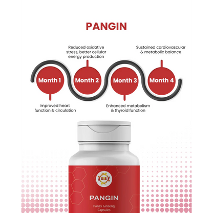 Pangin