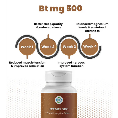 BTMG 500