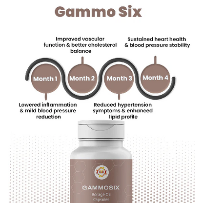 Gammo Six
