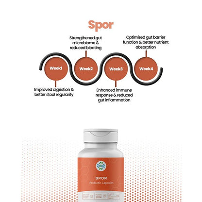 Spor
